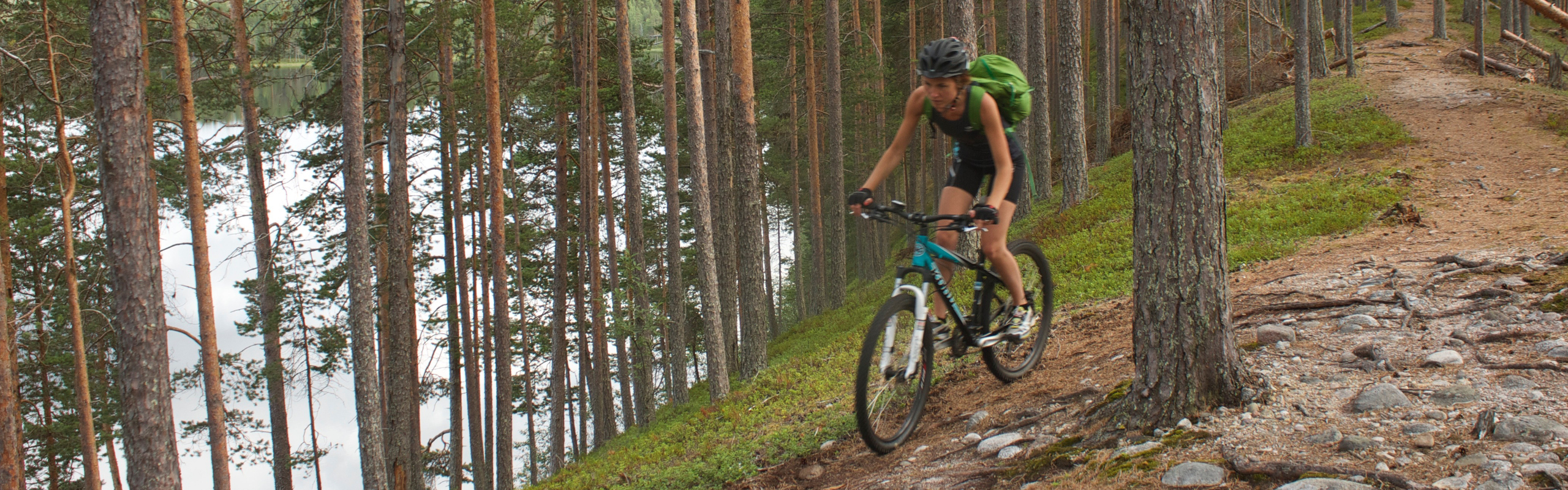 En person som cyklar på en rullstensås i tallskog. nedanför ses en älv