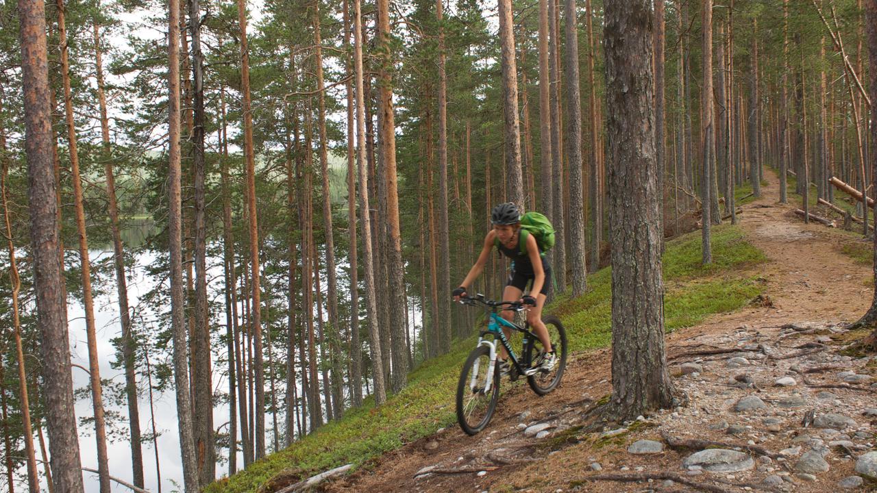 En person som cyklar på en rullstensås i tallskog. nedanför ses en älv