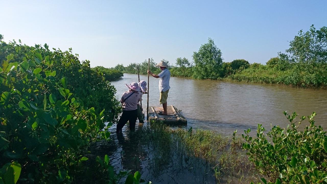 People at mangrove forests located in shrimp farm aquaculture in northern Vietnam.