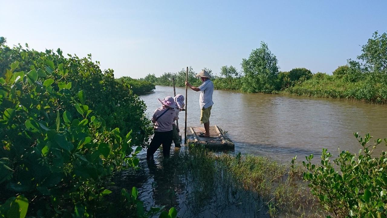 People at mangrove forests located in shrimp farm aquaculture in northern Vietnam.