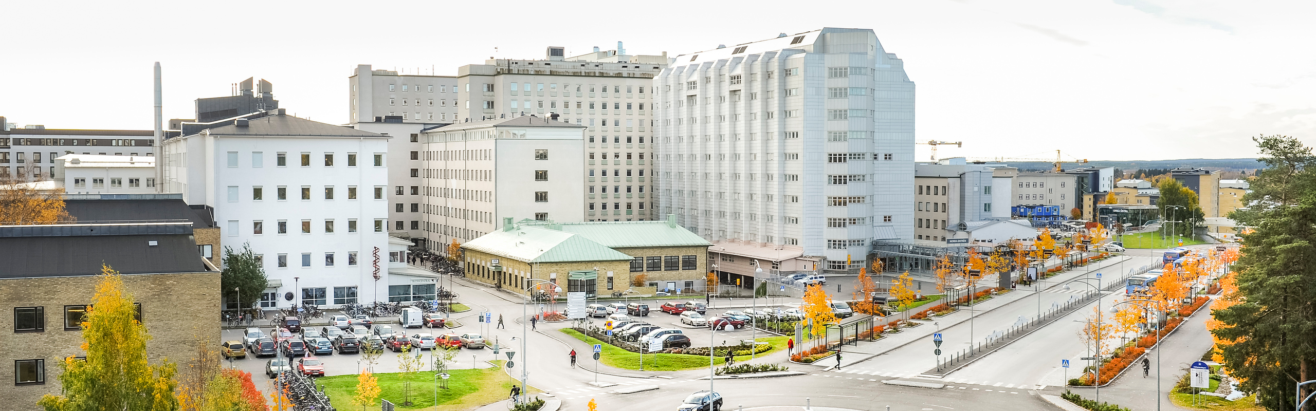 Vy över Norrlands universitetssjukhus