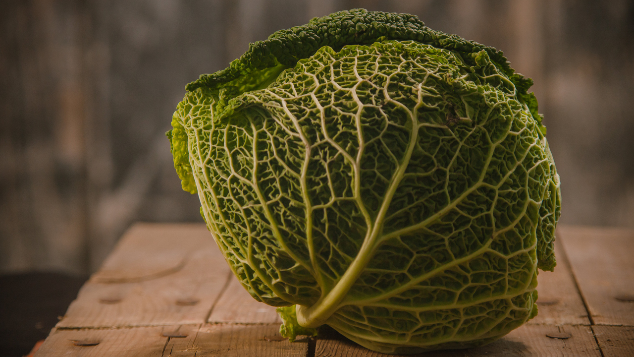 Savojkålshuvud på ett bord.