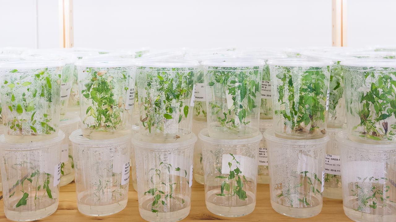 Bild på UPSC Transformationslabb