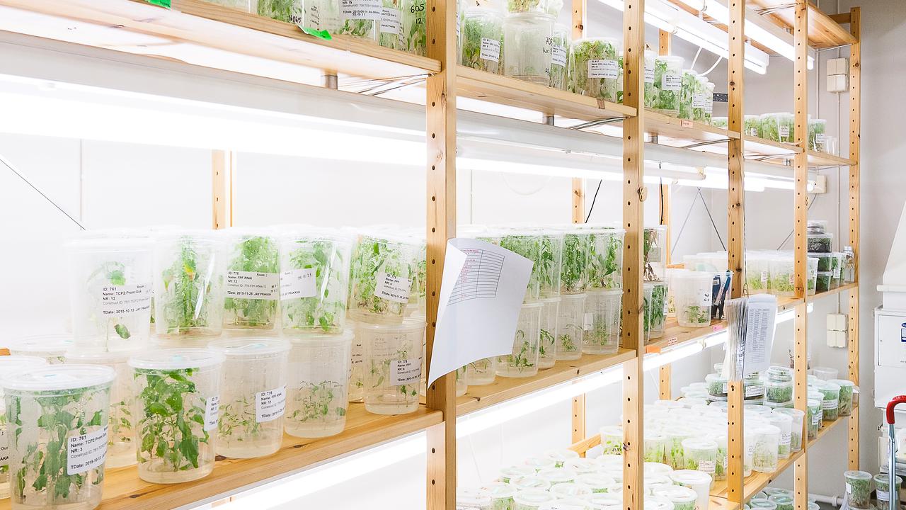 Bild från UPSC Transitionslabb