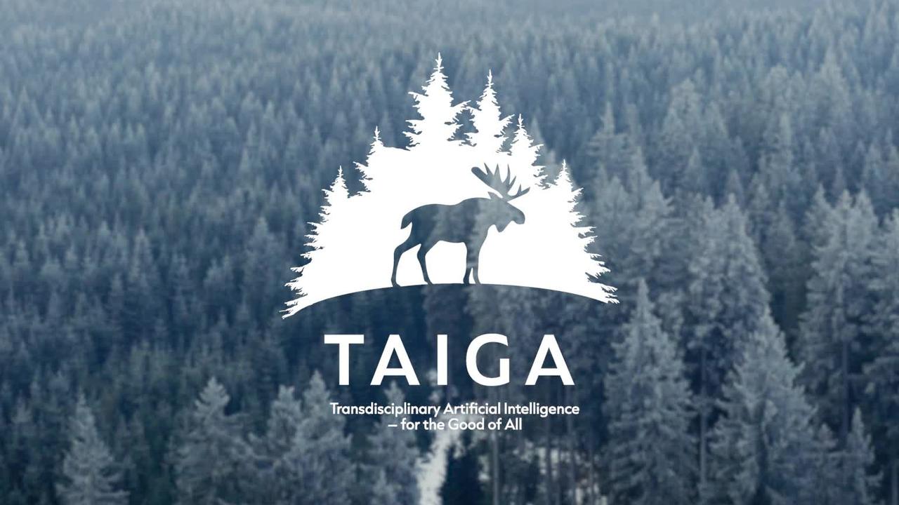 TAIGA logo over aerial view of a forest in winter