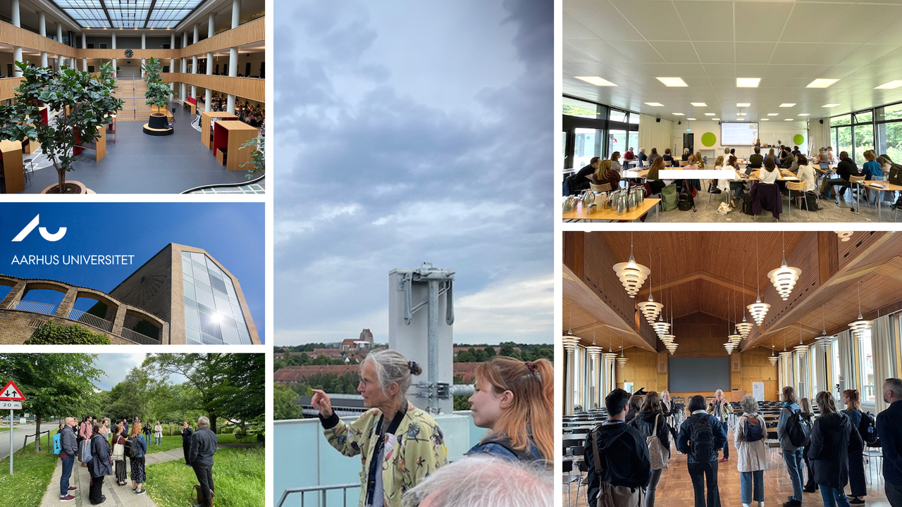 Sommarskola i utbildningshistoria