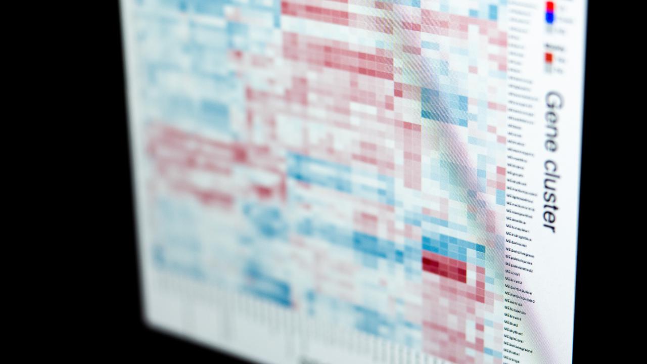 Bild p&aring; datorsk&auml;rm med biologiska data.