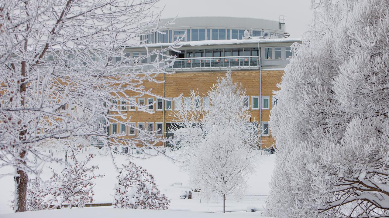 Vinter på campus Umeå