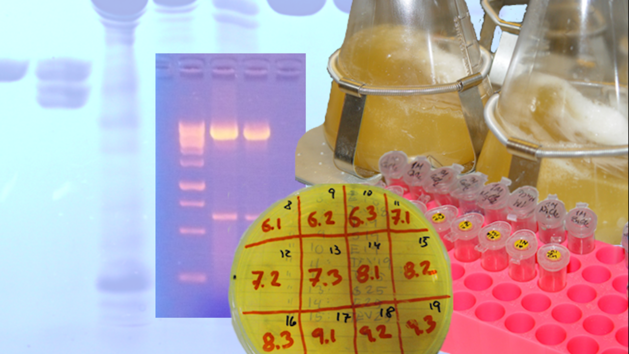 Image for the CPEP course announcement