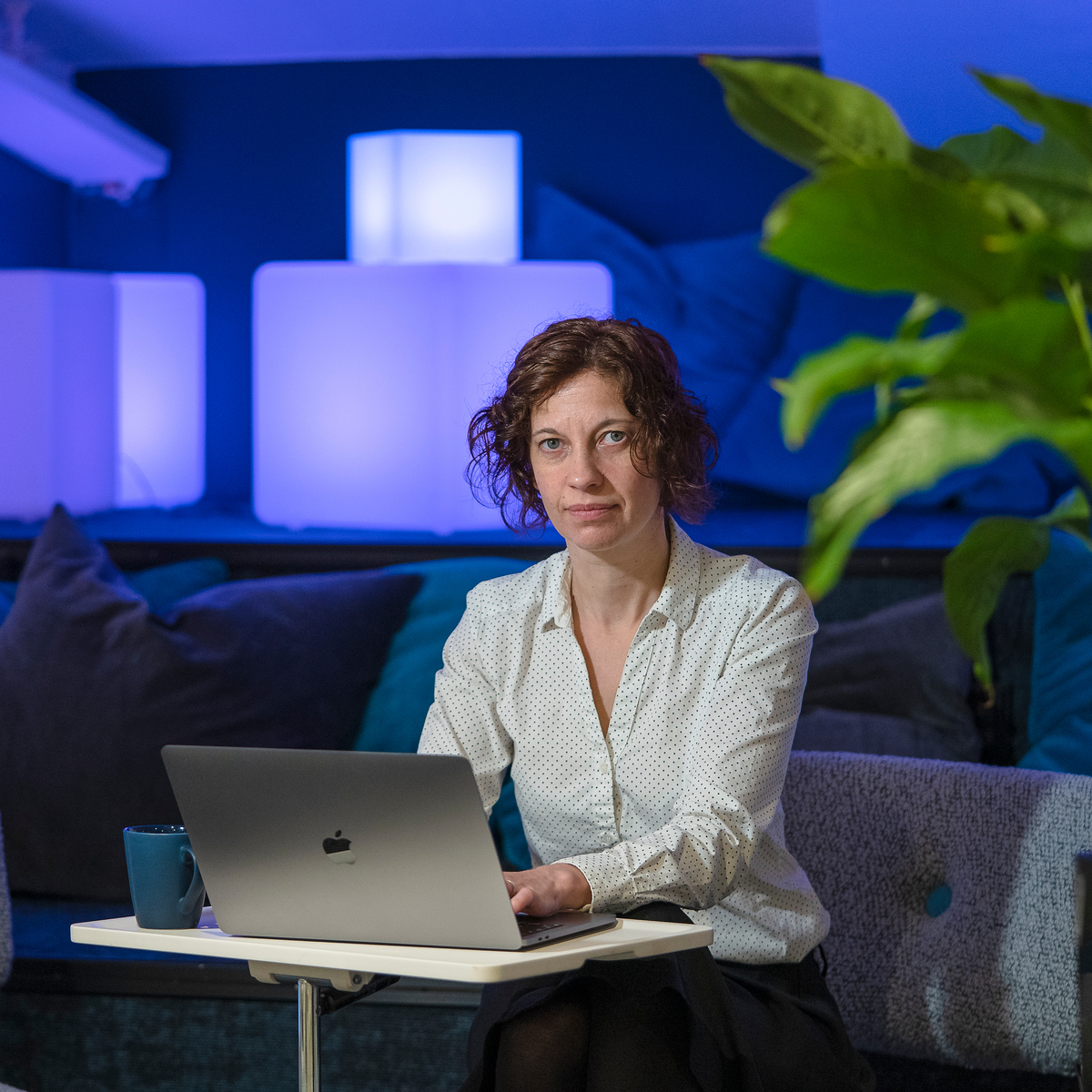 professorsbilder årshögtiden  Coppelie Cocq