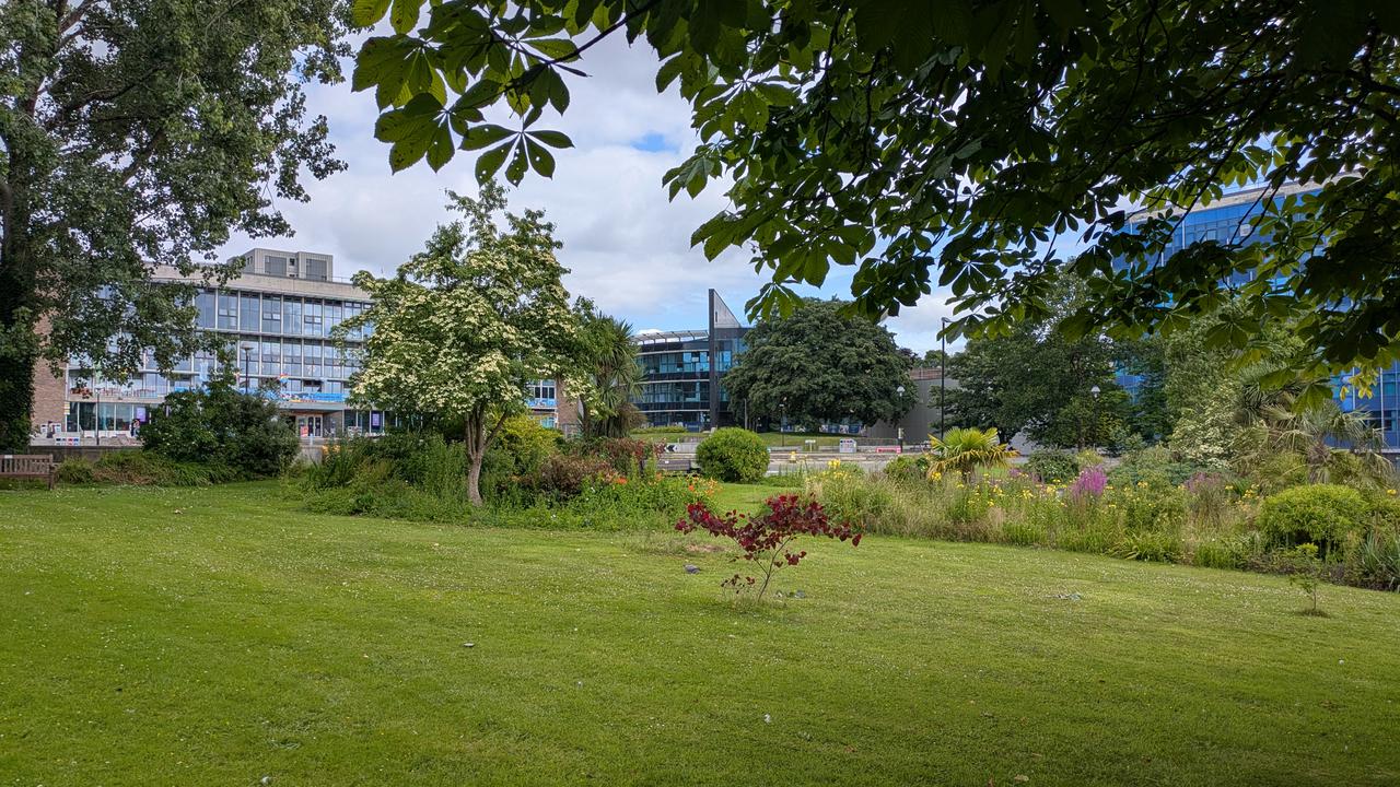 Fasad av Swansea University med lummig trädgård i förgrunden.