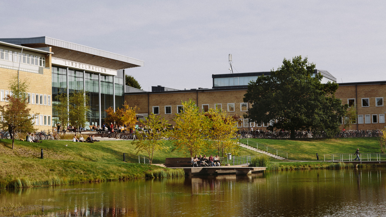 Bild på studenter på campus