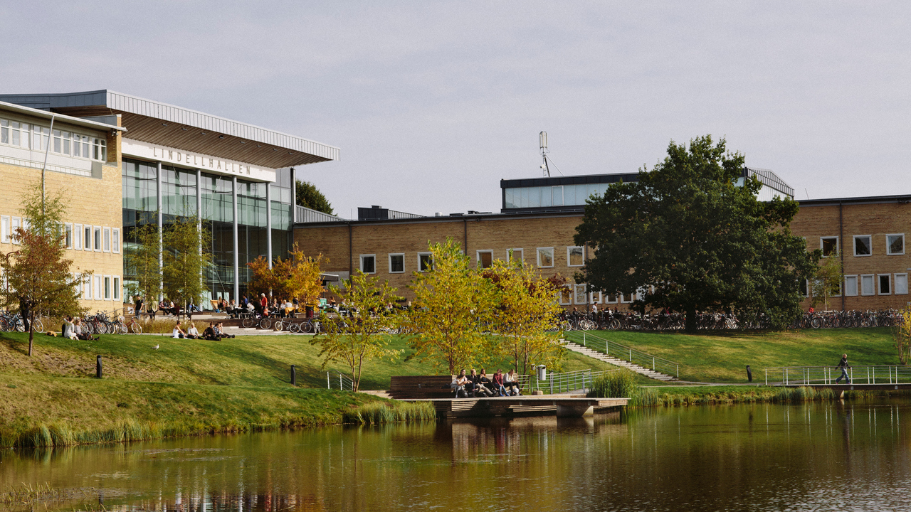 Bild på studenter på campus