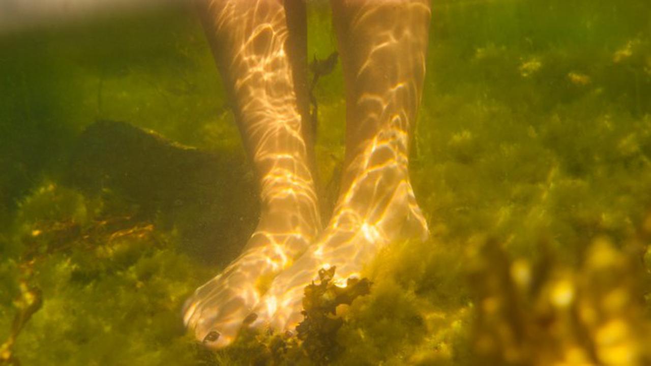 Feet in brown water.