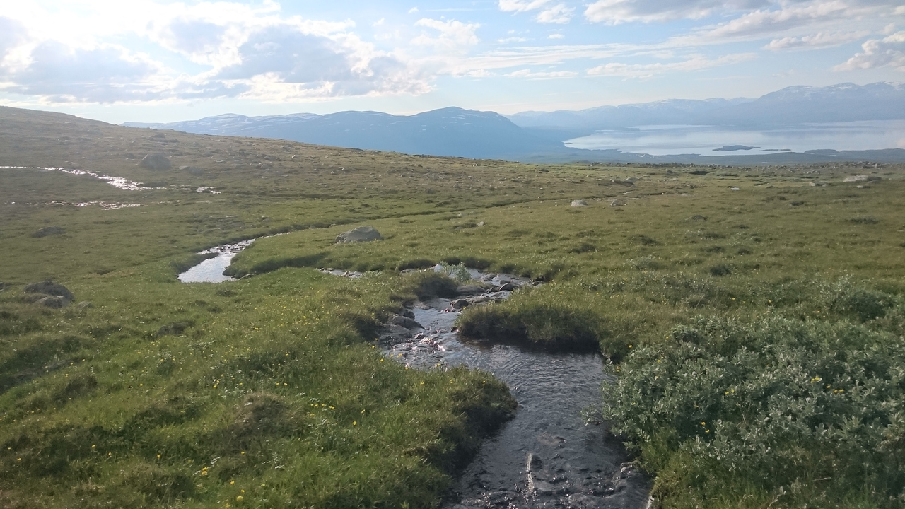 Miellajokka, Abisko.