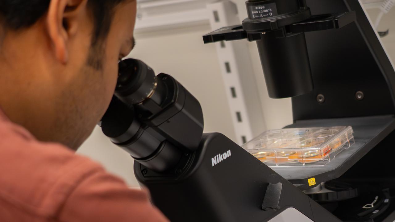 En person tittar i mikroskop.