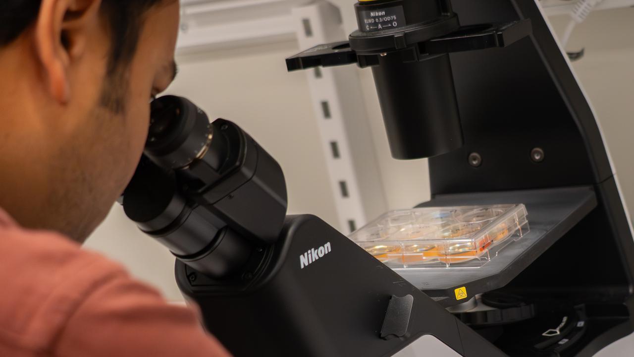 En person tittar i mikroskop.