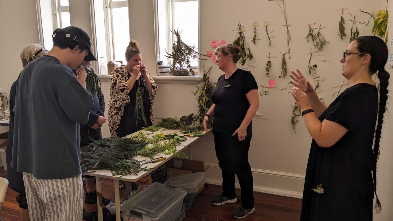 Scents of Solastalgia