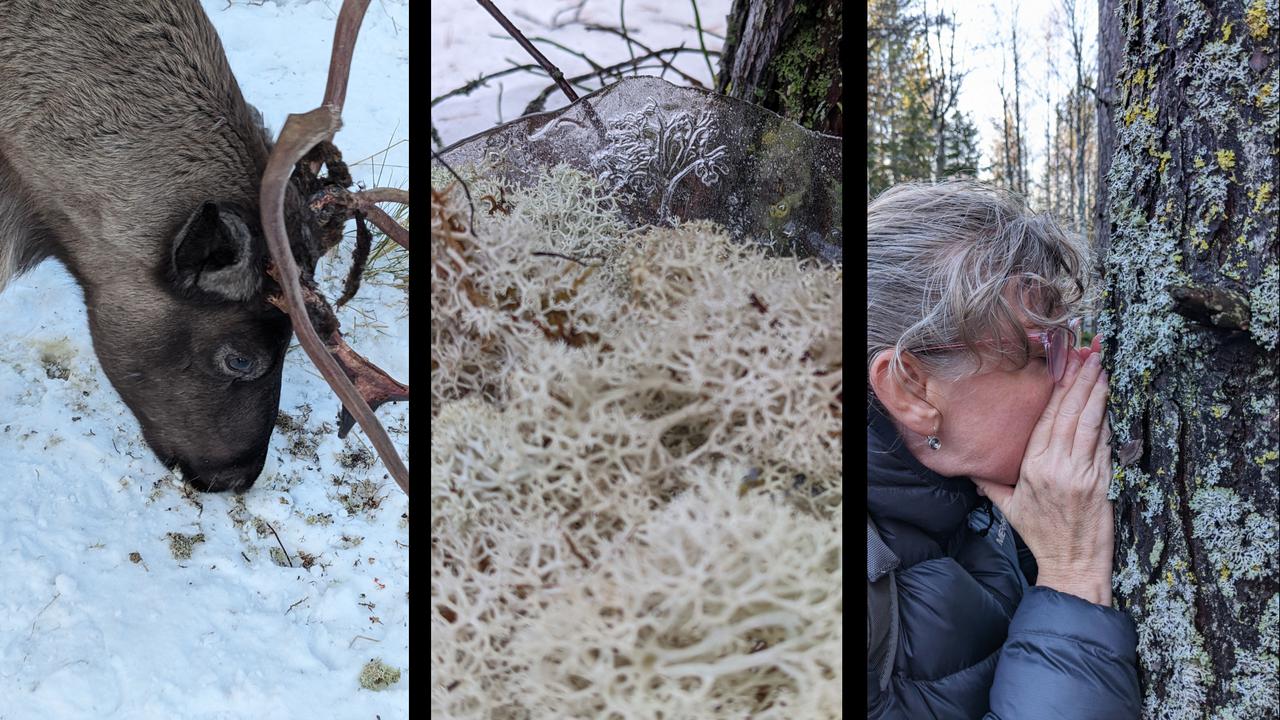 Scents of Consumption – Field Research