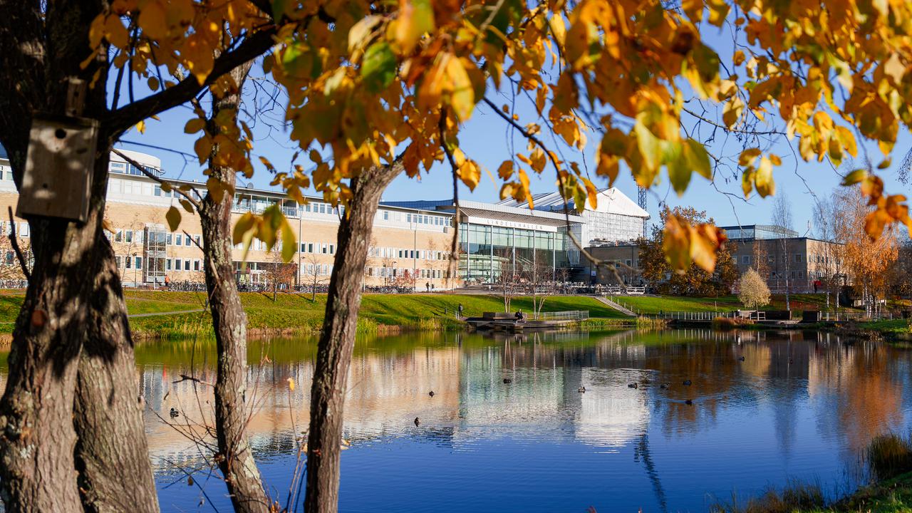 Campus i höstfärger