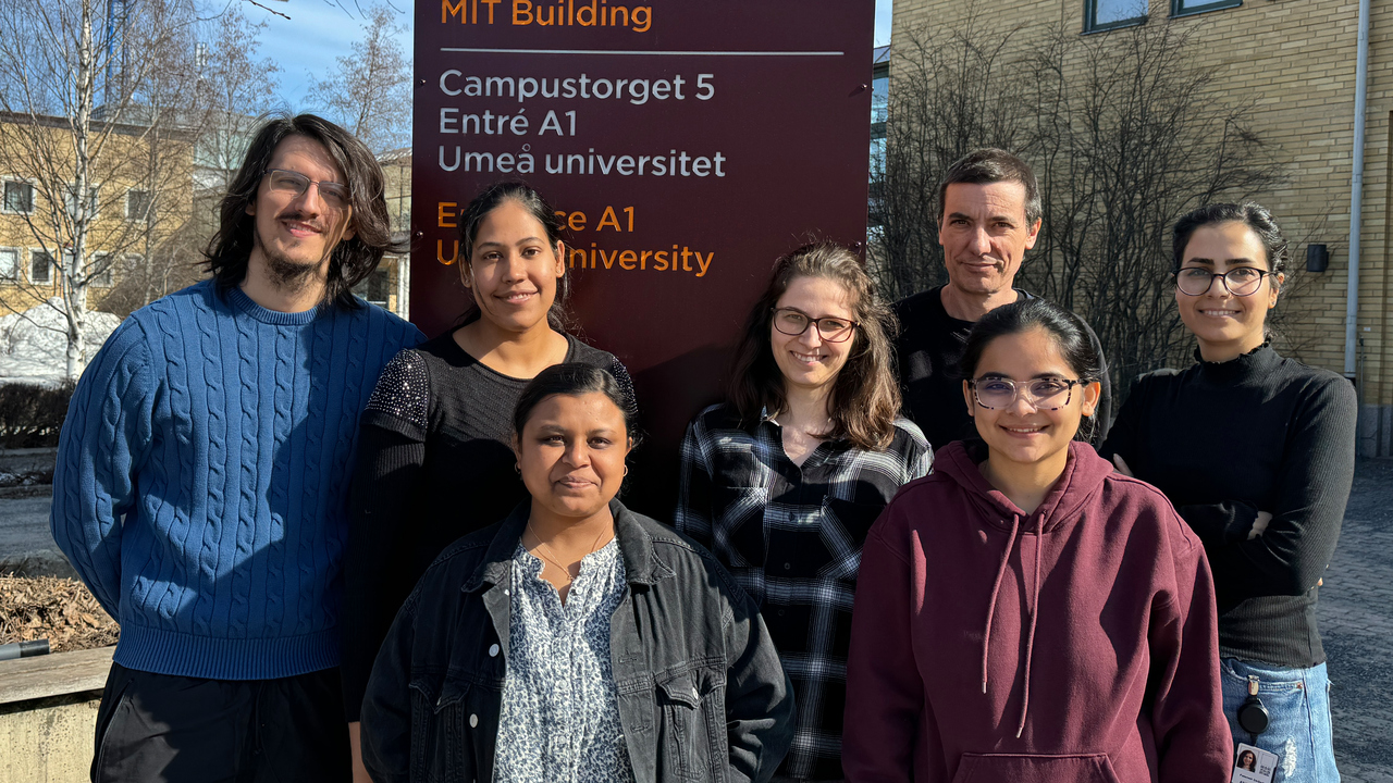 Forskargruppens medlemmar står på utsidan av MIT-huset i solen.