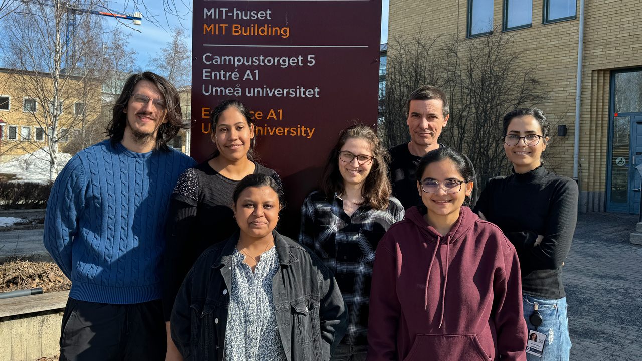 Forskargruppens medlemmar står på utsidan av MIT-huset i solen.