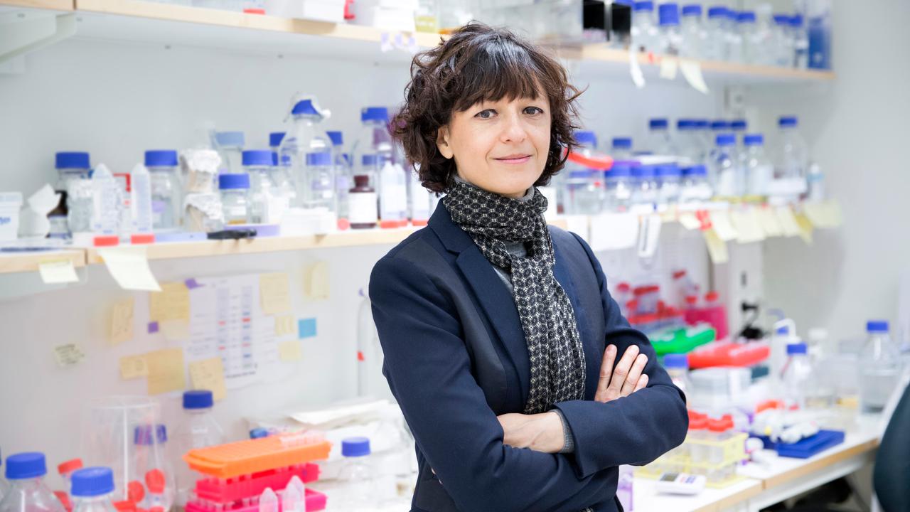 Bild på Emmanuelle Charpentier