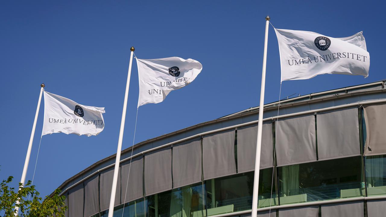 flaggor vid universitetsledningshuset