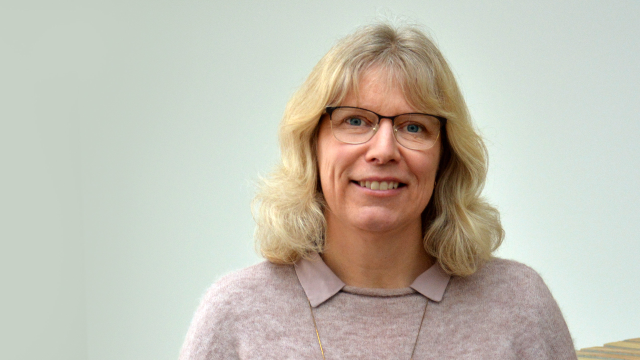 Helen Andersson, Pedagogiska institutionen