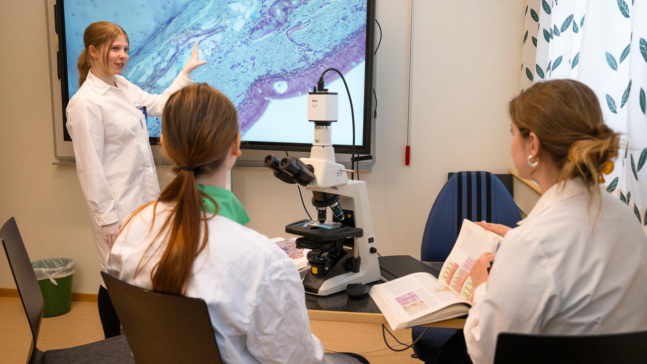 Laborationsbilder till Biomedicinsk analytikerprogrammets programsida, Klinisk mikrobiologi