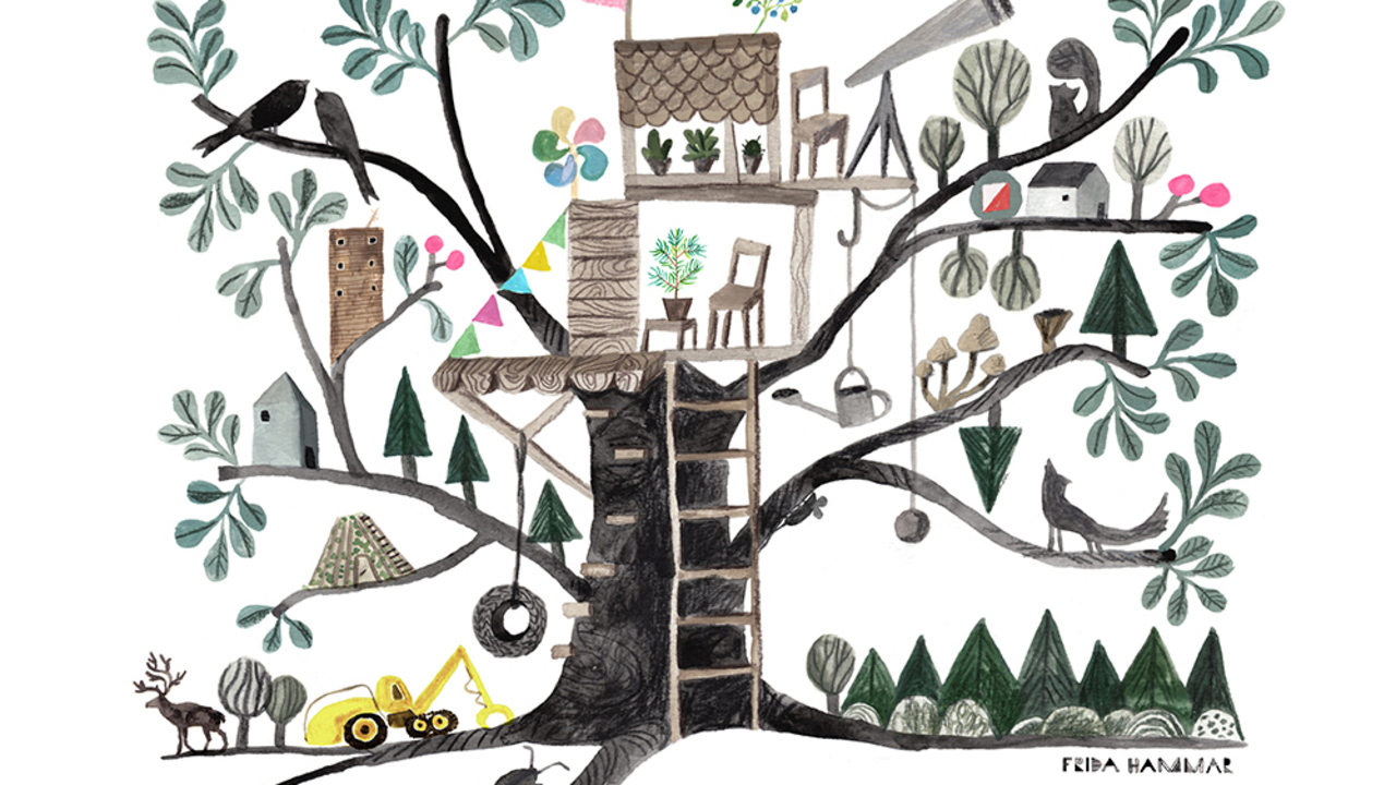 Film: Skogen klimatet & allt det andra 