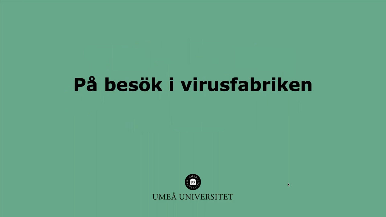 Film: På besök i virusfabriken