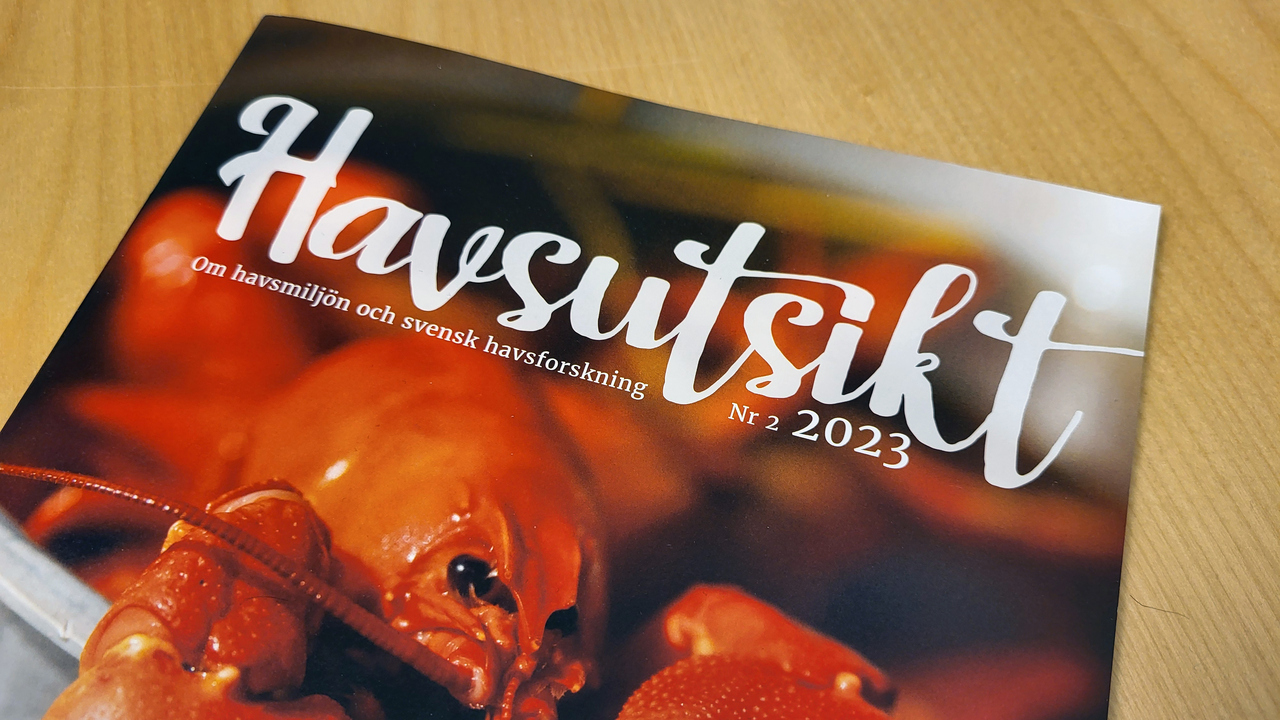 Framsidan på tidningen Havsutsikt. Omslagsbilden är en röd kräfta.