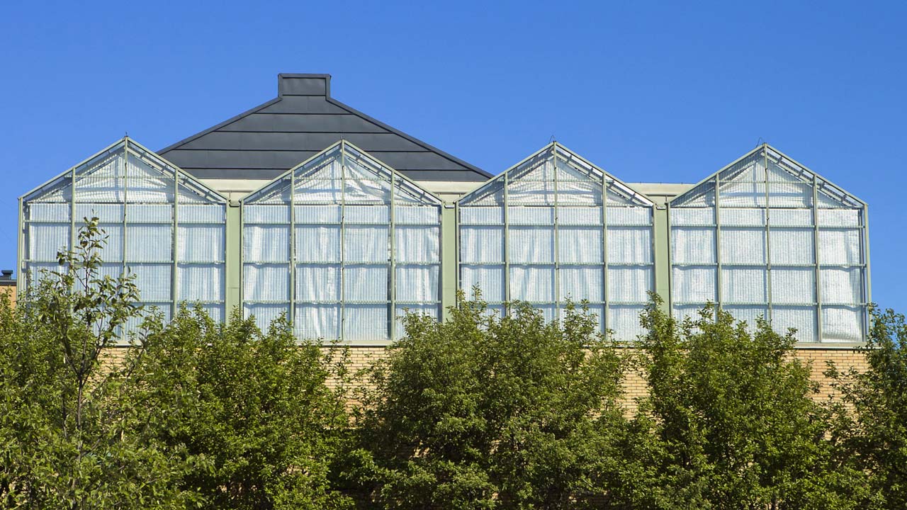 Picture of greenhouse