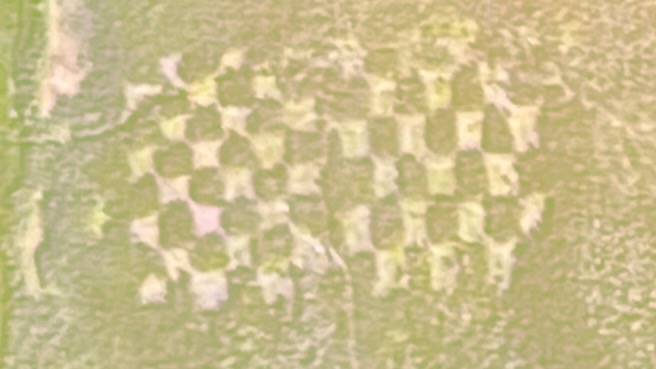 Schackrutehuggning från luften som visas på en projektorduk. Upplösningen är låg men man kan tydligt se ett schackrutemönster i skogen där det finns luckor utan skog