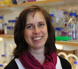 Personalbild Anna Karin Nilsson