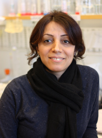 Personalbild Farahnaz Ranjbarian