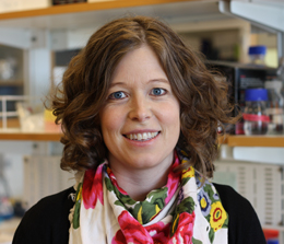 Personalbild Jeanette Blomberg