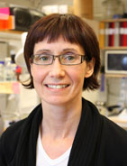 Personalbild Pia Osterman