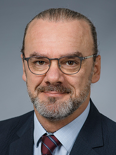 Personalbild Dzenan Sahovic