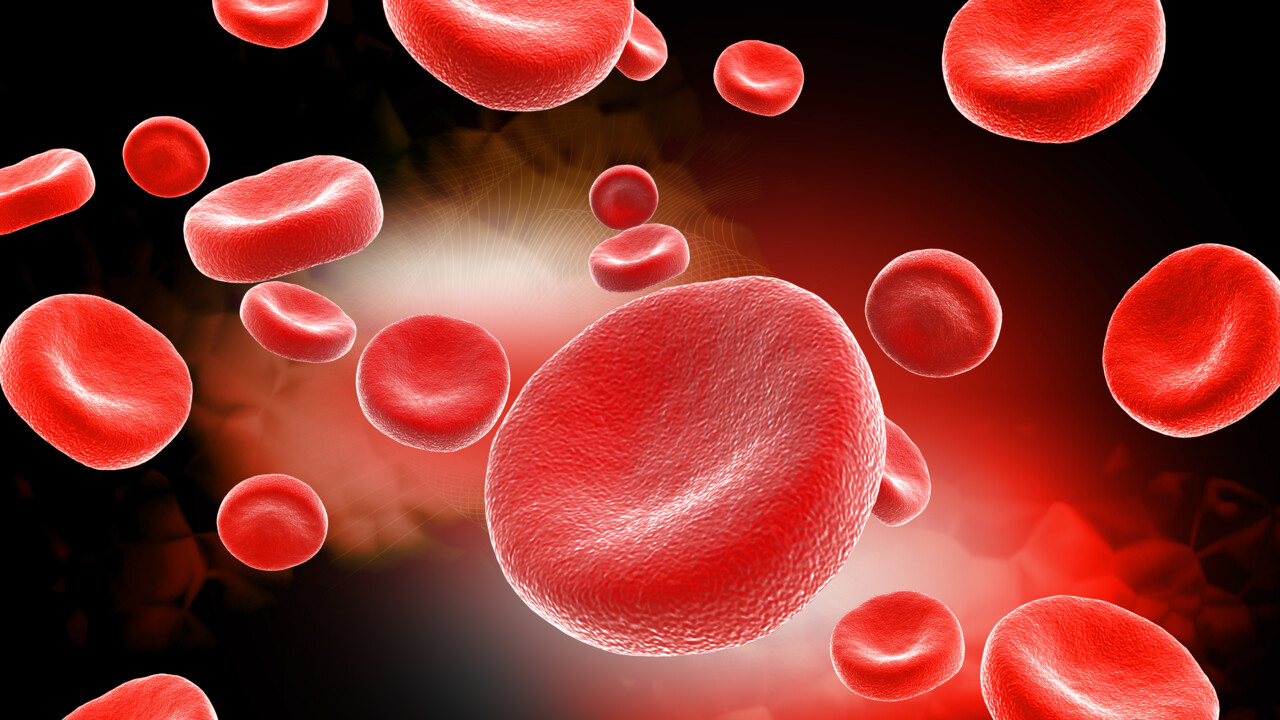 Doctoral Studies at the Faculty of Medicine