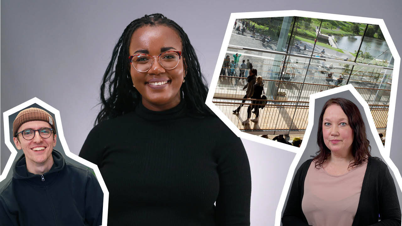 Film: Så funkar det att plugga