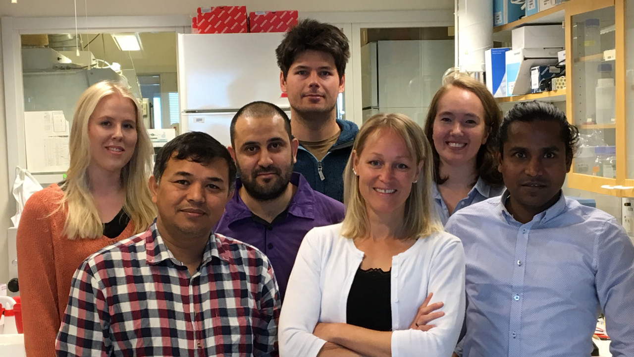 Gruppbild grp Lena Gunhaga