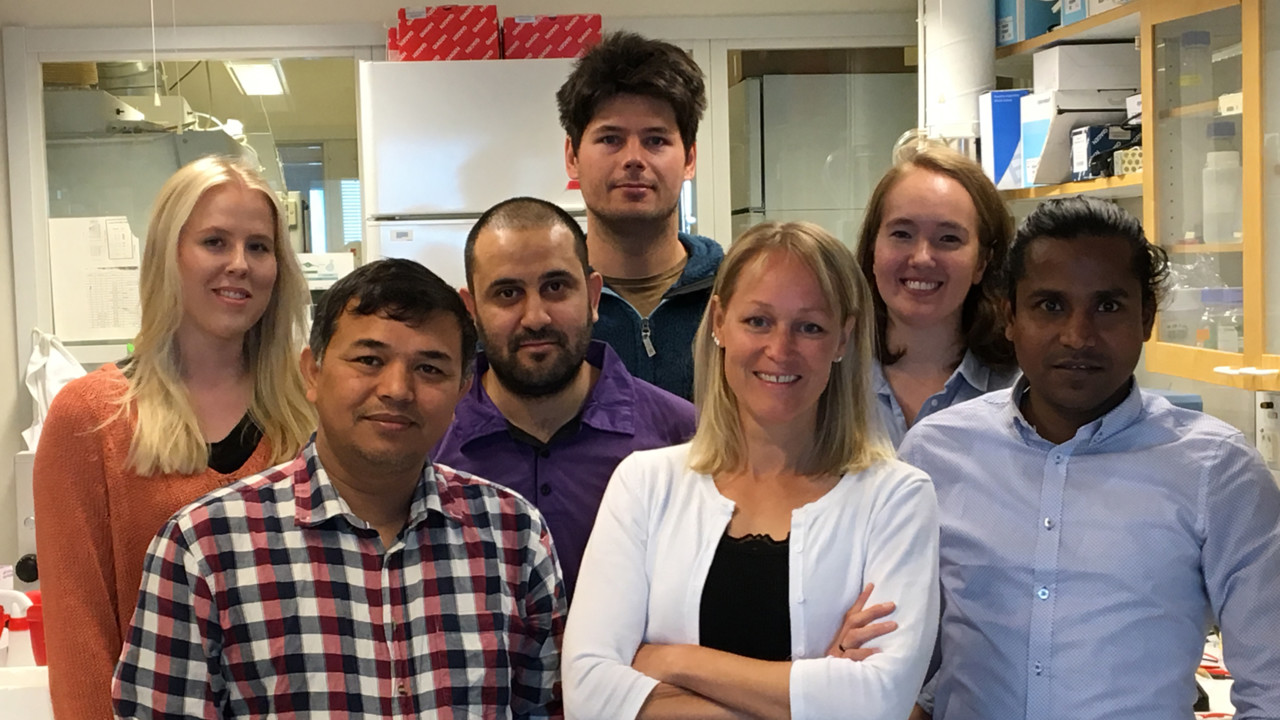 Group picture grp Lena Gunghaga