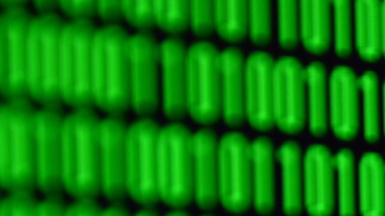 Registerforskning.se