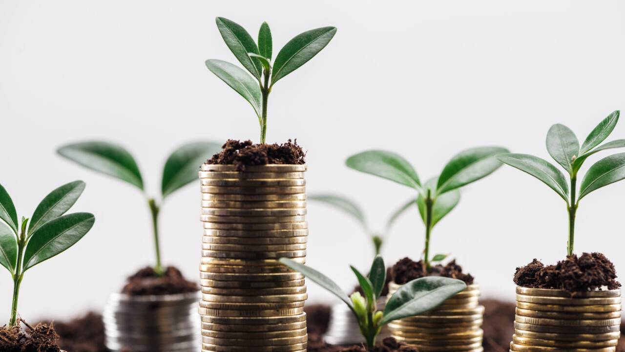 Högar av mynt där en grön växt gror längst upp.