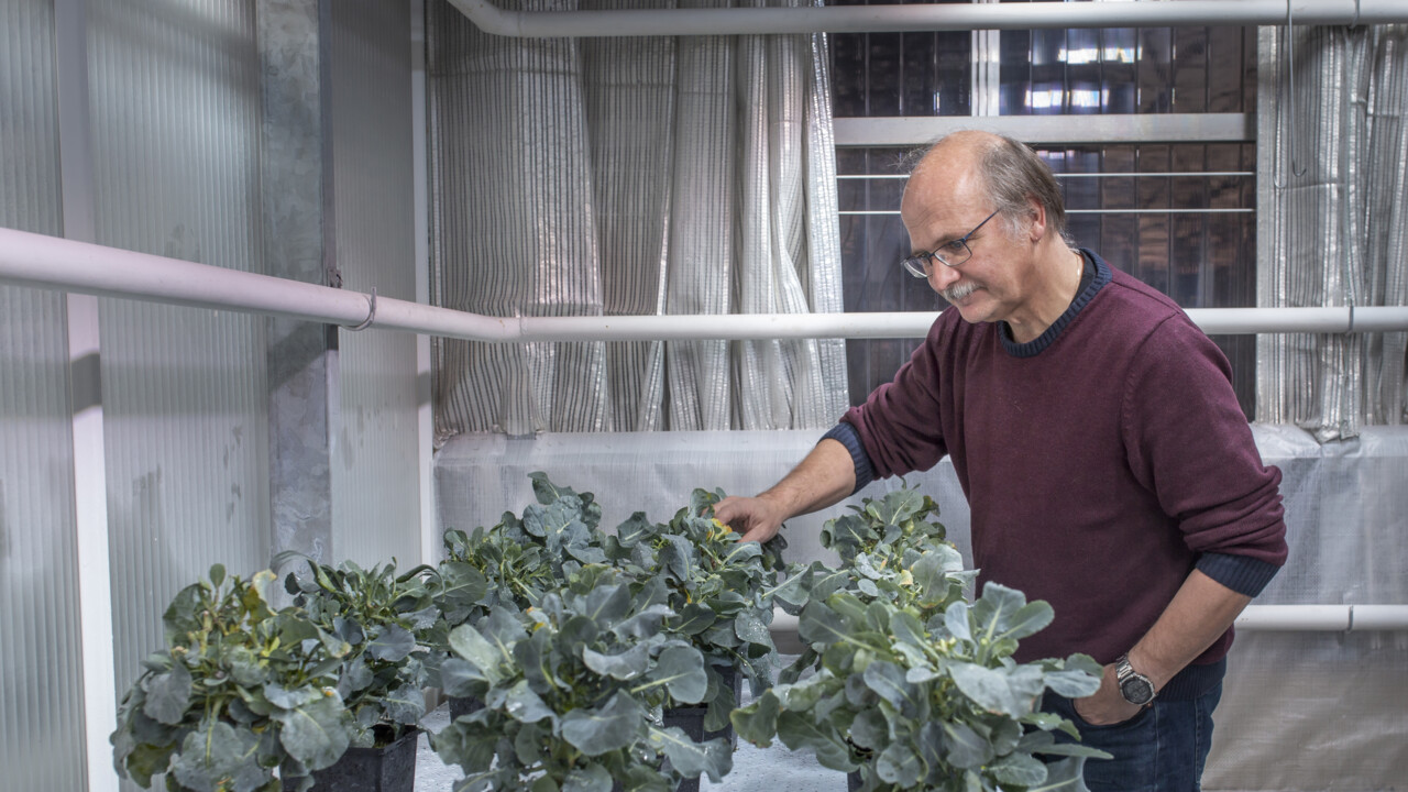 Film: Gensaxen som revolutionerade gentekniken