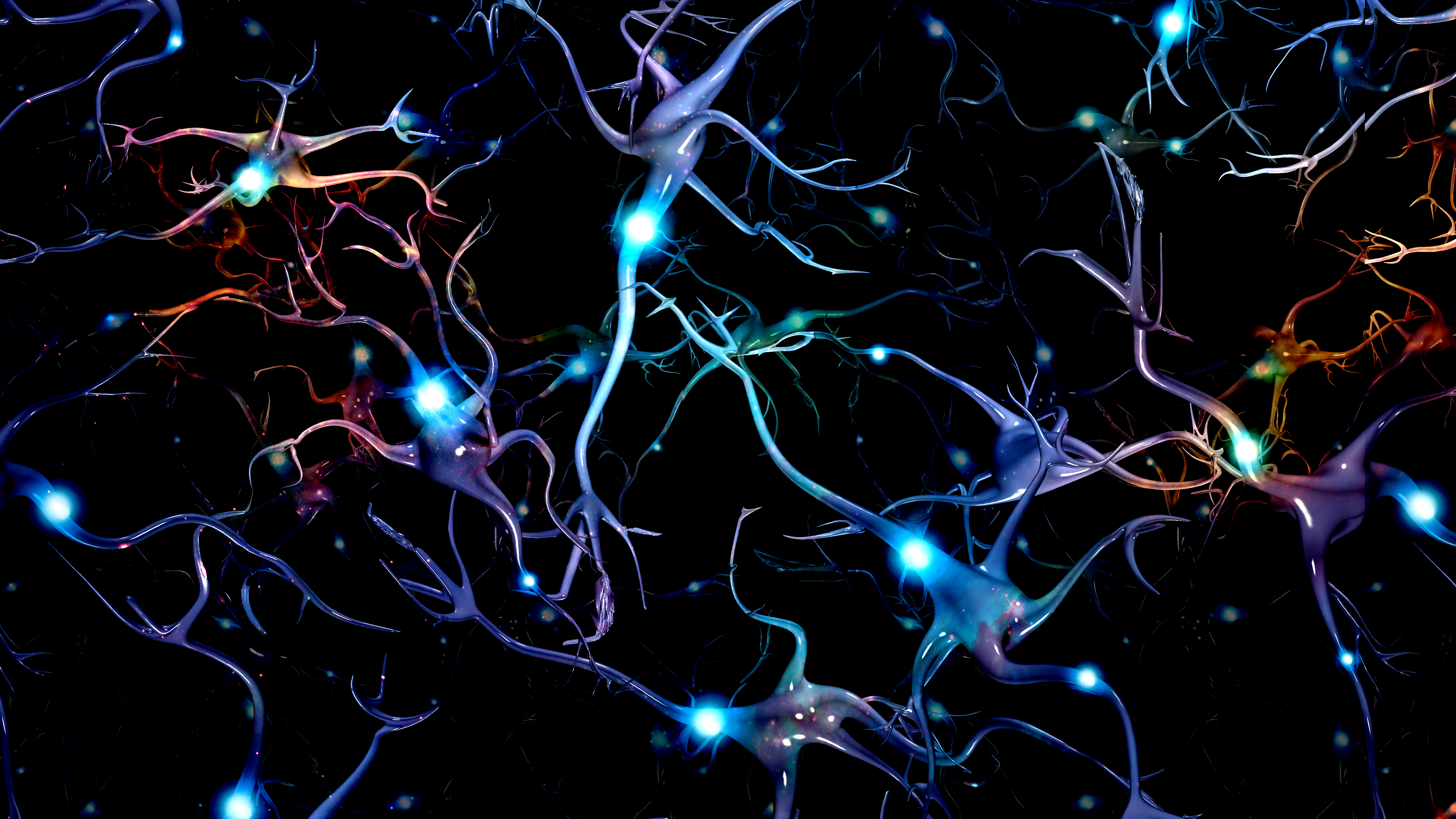 Forskning om hjärnan