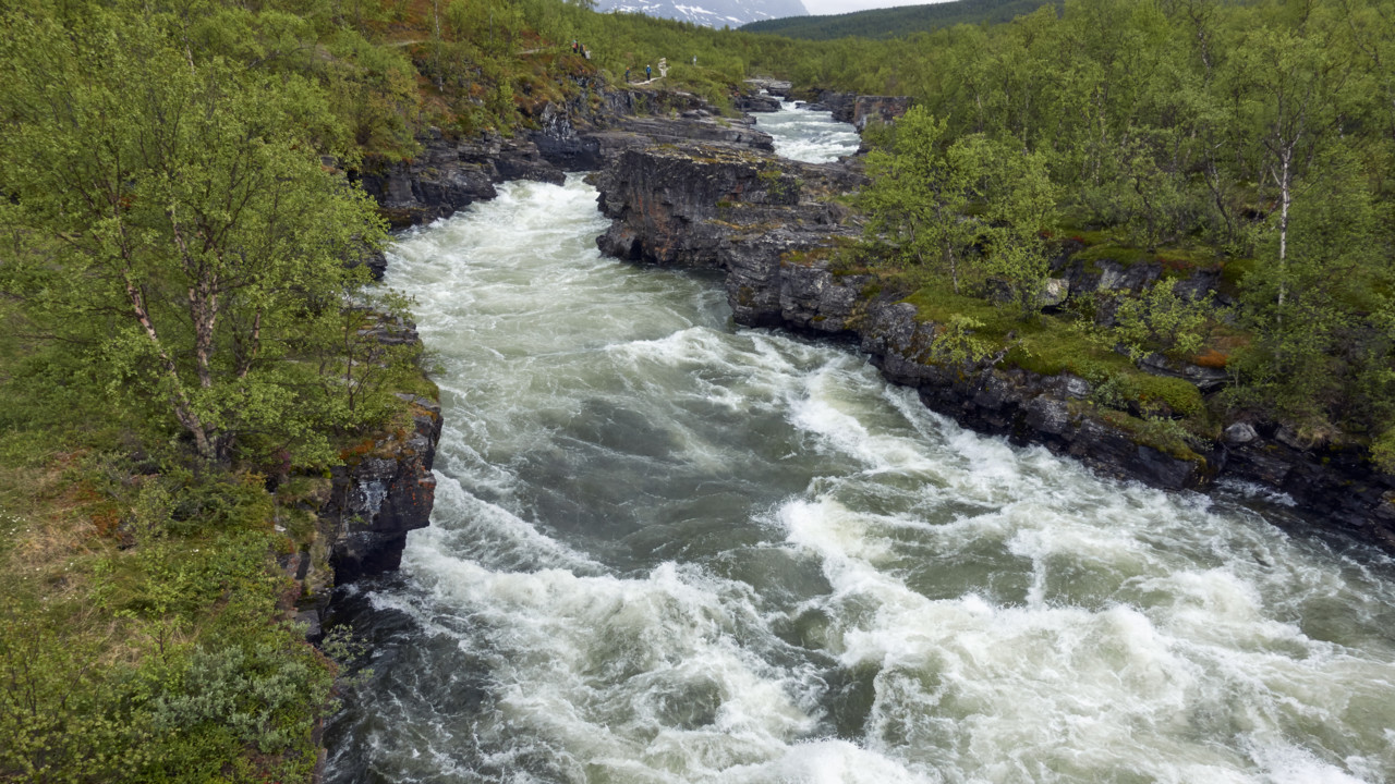 Abiskojokkens kanjon i Abisko.