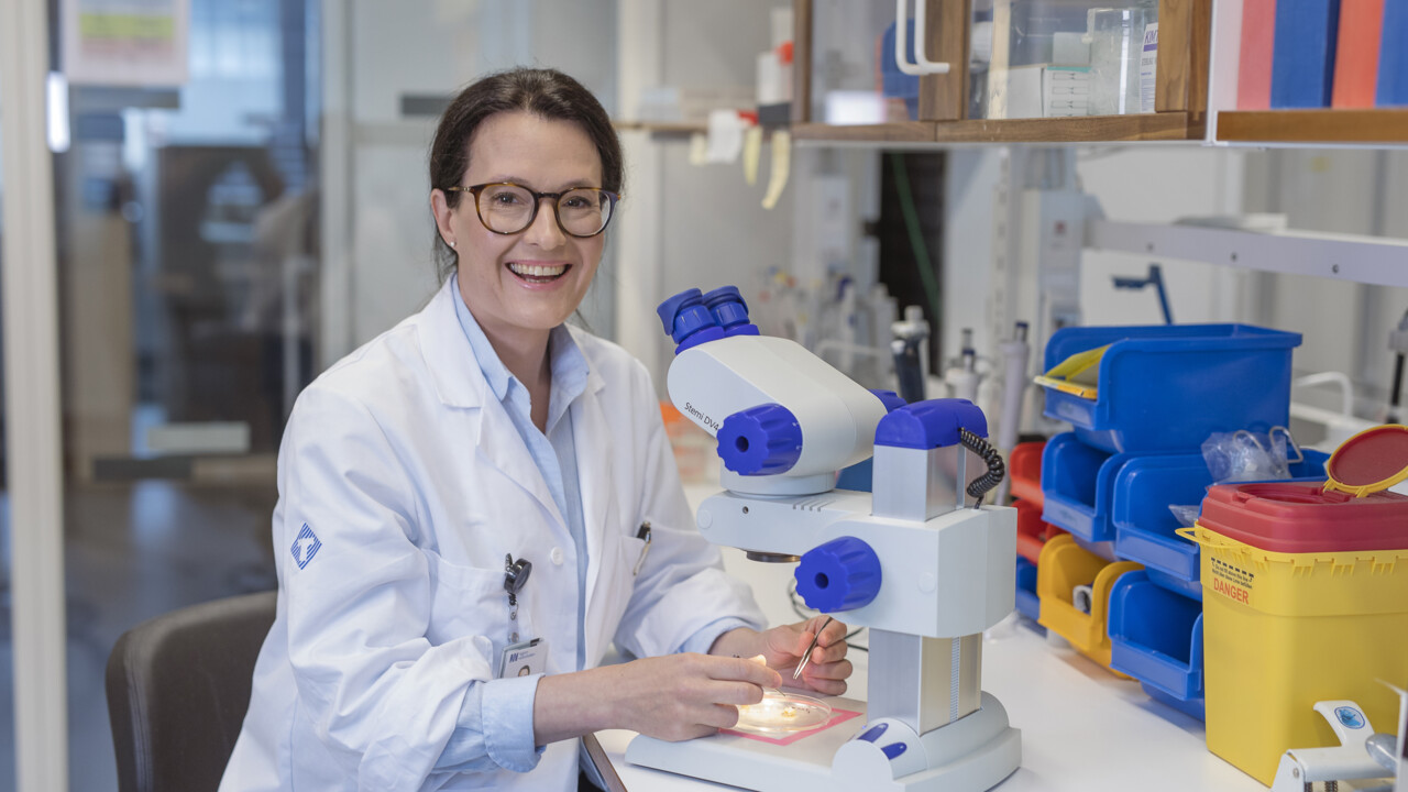 Biträdande universitetslektor, ST-läkare vid Institutionen för integrativ medicinsk biologi (IMB)